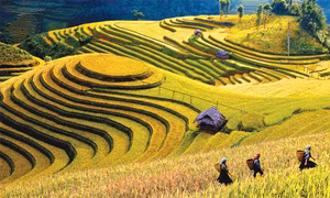 Triển khai Chương trình hành động của Chính phủ về phát triển kinh tế - xã hội vùng trung du và miền núi Bắc Bộ