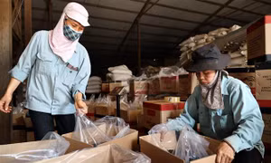 Diện mạo mới ở địa phương đi đầu xây dựng nông thôn mới của Phú Thọ
