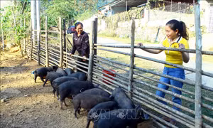 Nghệ An: Từ 'thánh địa ma túy', Xốp Mạt đã trở thành Làng văn hóa