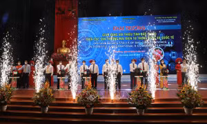 Vải thiều Bắc Giang được bảo hộ nhãn hiệu tại 8 quốc gia