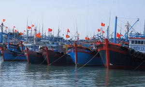 Quảng Bình: Tiếp tục chủ động các phương án ứng phó bão số 6
