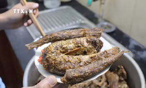 Độc đáo món cá biển kho dịp Tết của ngư dân làng biển
