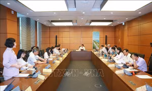 Đoàn đại biểu Quốc hội các tỉnh Yên Bái, Tiền Giang, Đồng Nai thảo luận ở tổ. Ảnh: Phương Hoa – TTXVN