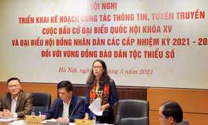 Bầu cử QH và HĐND: Những con số biết nói (Bài 2)