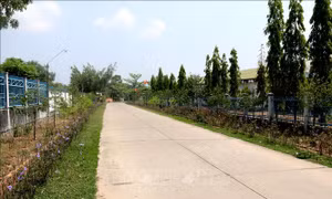 Những con đường nông thôn mới nâng cao khang trang trên địa bàn huyện Đức Linh. Ảnh: Nguyễn Thanh - TTXVN