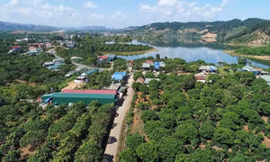 Một góc cao nguyên Nà Sản, xã Chiềng Mung, huyện Mai Sơn, tỉnh Sơn La hiện nay. Ảnh: Hữu Quyết – TTXVN