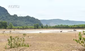 Quảng Bình: Một số địa phương khu vực miền núi và ven biển thiếu nước sinh hoạt trầm trọng
