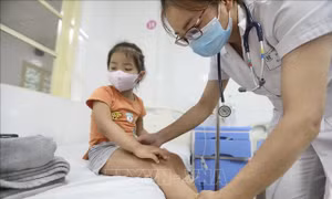  Bác sĩ khám cho bệnh nhi sốt xuất huyết tại bệnh viện Thanh Nhàn. Ảnh: Minh Quyết - TTXVN