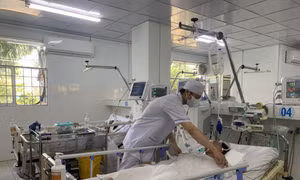 Cảnh báo ngộ độc do ăn nhầm con so biển