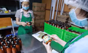 Sản phẩm tương ớt của Công ty Spico ở phường Hàm Rồng, thành phố Thanh Hoá được sản xuất theo phương thức truyền thống, là sản phẩm đạt chất lượng OCOP 3 sao đợt 1 năm 2022. Ảnh: Vũ Sinh - TTXVN