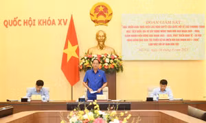 Đẩy mạnh giải ngân vốn ngân sách nhà nước cho các Chương trình mục tiêu quốc gia