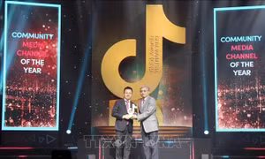 Factcheckvn giành giải Kênh thông tin có tác động xã hội tại TikTok Awards Việt Nam 2020
