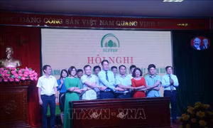 Chung tay bảo vệ và phát triển rừng khu vực Tây Bắc