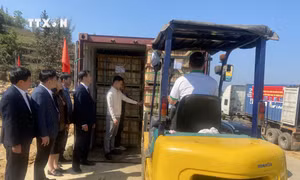 Huyện vùng cao Hà Giang xuất khẩu container củ cải muối đầu tiên năm 2024 sang Nhật Bản
