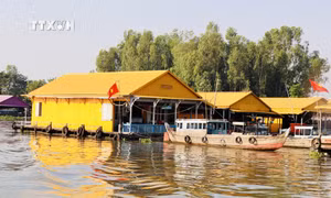 Độc đáo làng bè sắc màu ngã ba sông Châu Đốc