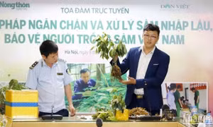 Ông Trần Đức An, Giám đốc điều hành Công ty Cổ phần sâm Ngọc Linh Tu Mơ Rông Kon Tum chia sẻ về nhận diện sâm trong nước và các loại sâm không rõ nguồn gốc xuất xứ. Ảnh: nhandan.vn