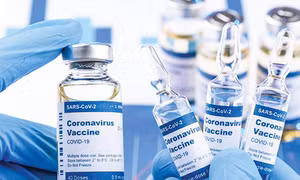 Triển vọng bào chế vaccine giúp phòng ngừa các bệnh lây từ động vật sang người