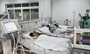 Quảng Nam: 7/9 nạn nhân ngộ độc do ăn cá chép muối ủ chua đã được xuất viện