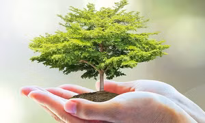 Sáng kiến độc đáo nhằm biến chất thải của con người thành năng lượng