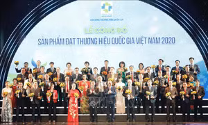 Phó Thủ tướng Thường trực Trương Hoà Bình, Bộ trưởng Bộ Thông tin và Truyền thông Lê Mạnh Hùng trao biểu trưng cho các đơn vị. Ảnh: Trần Việt - TTXVN