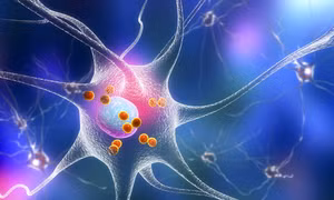 Nhật Bản phát hiện một loại protein mới gây bệnh Parkinson