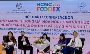 Các chuyên gia chia sẻ thông tin thương mại nông sản và thực phẩm tại hội thảo. Ảnh: Xuân Anh -TTXVN