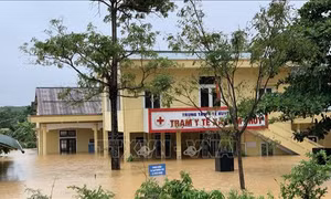 Quảng Trị: Mực nước có nơi vượt đỉnh lũ năm 1983, hàng ngàn nhà dân bị ngập sâu