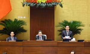 Thông cáo báo chí số 8, Kỳ họp thứ 7, Quốc hội khóa XV