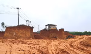 Phát hiện vụ đào trái phép đất rừng sản xuất quy mô lớn ở Quảng Trị