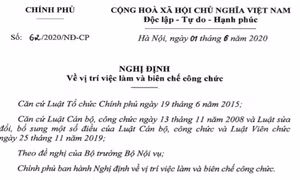 Ban hành Nghị định 62 quy định về vị trí việc làm và biên chế công chức