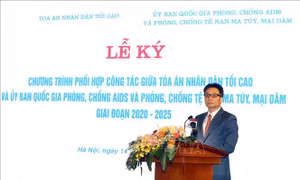 Phó Thủ tướng Chính phủ Vũ Đức Đam, Chủ tịch Ủy ban Quốc gia phòng, chống AIDS và phòng, chống tệ nạn ma túy, mại dâm phát biểu. Ảnh: Anh Tuấn-TTXVN
