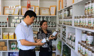 Đồng Tháp xây dựng hình ảnh đặc thù qua các sản phẩm từ cây sen