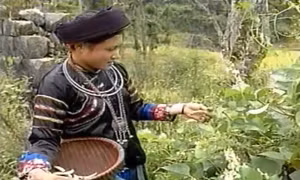 Dân tộc Pu Péo