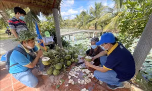 “Xứ Dừa” Bến Tre mở cửa đón khách du lịch nội địa
