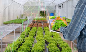Bình Phước hướng đến xây dựng nông thôn mới thông minh