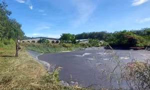 Trại nuôi lợn không che chắn bể biogas để phát tán mùi hôi thối ra môi trường xung quanh. Ảnh: baokontum.com.vn