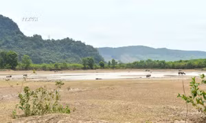 Quảng Bình: Một số địa phương khu vực miền núi và ven biển thiếu nước sinh hoạt trầm trọng