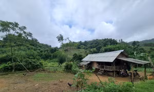 Nhiều gia đình đồng bào H’rê tại huyện Ba Tơ vẫn không có điện để sử dụng. Ảnh: Đinh Hương – TTXVN