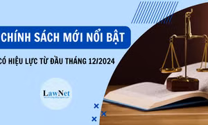 Những chính sách nổi bật có hiệu lực trong tháng 12/2024