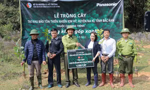 Bắc Kạn: Trồng 6.000 cây giổi xanh tại Khu Bảo tồn thiên nhiên Kim Hỷ