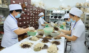 Kế thừa, phát triển Y Dược cổ truyền Việt Nam