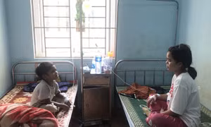 Gia Lai: Ba người bị ngộ độc do ăn thịt cóc