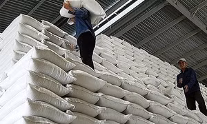 Xuất cấp gạo cho 5 tỉnh nhân dịp Tết Nguyên đán Quý Mão và giáp hạt năm 2023​