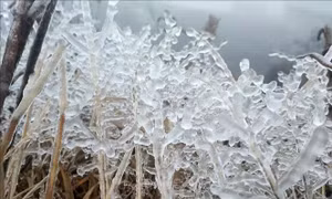 Nhiệt độ tại nhiều khu vực núi cao của Lào Cai giảm sâu, đề phòng sương mù và đường trơn trượt do băng tuyết khi lưu thông