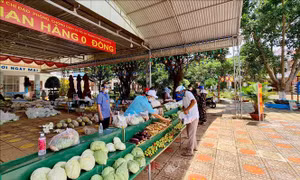Nông sản, rau củ, lương thực, thực phẩm là các mặt hàng chính tại gian hàng 0 đồng . Ảnh: Hưng Thịnh – TTXVN