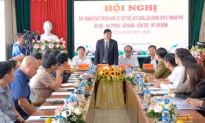 Phát huy thế mạnh kinh tế tập thể (Bài 2)