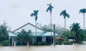 Thủ tướng Chính phủ yêu cầu chủ động ứng phó, khắc phục nhanh hậu quả mưa lũ ở Trung Bộ