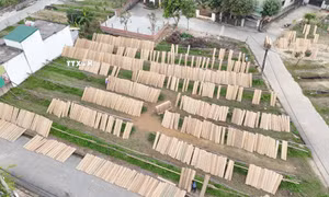 Năm 2021, UBND tỉnh Hà Tĩnh đã có quyết định công nhận và ban hành phương án bảo tồn, phát triển làng nghề truyền thống bánh đa nem thôn Bình xã Thạch Hưng. Ảnh: Hữu Quyết - TTXVN
