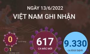 Dịch COVID-19: Ngày 13/6, có 9.330 bệnh nhân được công bố khỏi COVID-19, không có ca tử vong
