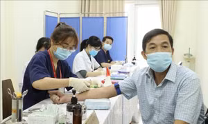 Đại học Y Hà Nội tổ chức khám lâm sàng cho tình nguyện viên tham gia tiêm thử nghiệm giai đoạn 1 từ ngày 10/3/2021. Ảnh: Minh Quyết - TTXVN